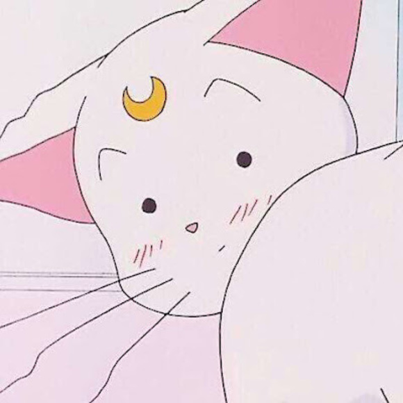 Meet your Posher, Niya - Picture 1 of 1